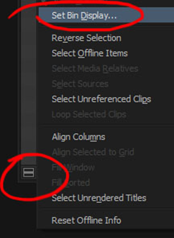 How to set the bin display to show reference clips