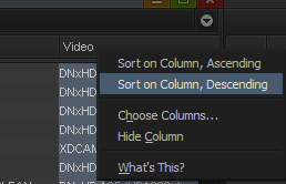 How to sort by the video field